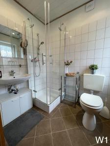 a bathroom with a shower and a toilet and a sink at Ferienwohnung Kraft in Clausthal-Zellerfeld