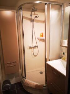 La salle de bains est pourvue d'une douche et d'un lavabo. dans l'établissement Studio "Chez Alain" avec garage sécurisé et clim, à Chamalières