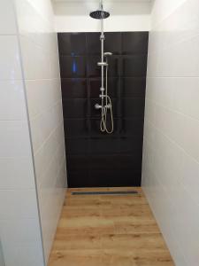 uma casa de banho com um chuveiro com azulejos pretos em Apartman TILL em Galanta