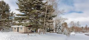 una piccola casa nella neve vicino a un albero di Chez Elisabeth et Andrew a Saint-Raymond