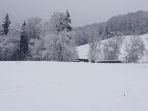 Rauhbergerhof v zime