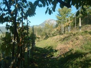 een pad op een heuvel met een berg op de achtergrond bij IL CASALE di ROLANDO in Castiglione di Garfagnana