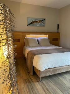 1 dormitorio con 1 cama grande en una habitación en le gite du CASTELBOSC, en Hagedet