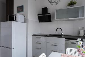 Kuchyňa alebo kuchynka v ubytovaní APARTAMENT Piątka
