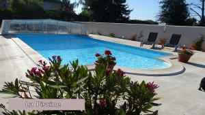 ein großer Pool in einem Garten mit Blumen in der Unterkunft Le Clos Fleuri in Vineuil
