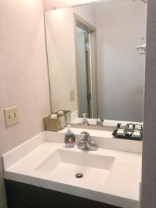 a bathroom with a sink and a mirror at Aurora Denali Lodge in Healy