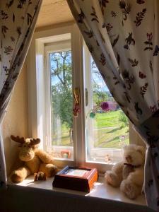 Zahrada ubytování Country House Novosel