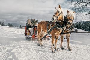 Hotel Stockerwirt durante l'inverno