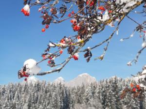 Hotel Stockerwirt durante l'inverno