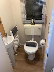 Dixons den في Swarland: حمام صغير مع مرحاض ومغسلة