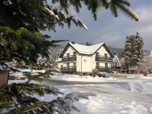 ein Haus mit schneebedecktem Dach im Schnee in der Unterkunft Willa VITA in Muszyna
