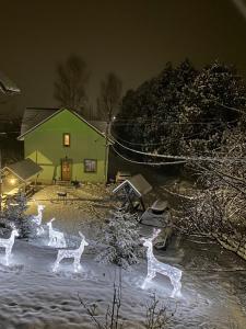 eine Gruppe beleuchteter Giraffen im Schnee bei Nacht in der Unterkunft Goryanka family home in Mykulytschyn