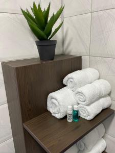 ein Regal mit Handtüchern und eine Pflanze im Bad in der Unterkunft Apartmani Jović in Kuršumlija