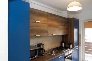 Kuchyň nebo kuchyňský kout v ubytování Apartament Safir