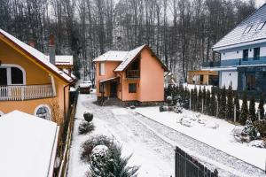 Casa Roland tokom zime