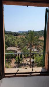Táj Show holiday homes közelében
