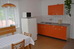 Kuchyň nebo kuchyňský kout v ubytování Apartment in Jablonec nad Jizerou 2142
