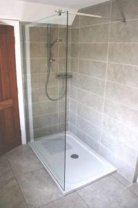 baño con cabina de ducha con puerta de cristal en The Salthouse Lodges, en Ballycastle
