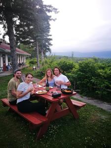 un gruppo di persone seduti a un tavolo da picnic di Auberge La Coudriere (Cool Hotel) a L'Isle-aux-Coudres