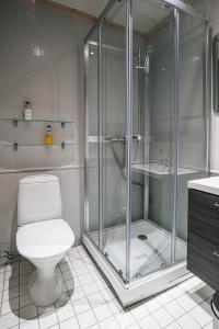 een badkamer met een douche, een toilet en een wastafel bij Levi Black Apartments in Levi