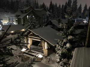 Shulc im Winter