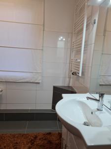 Koupelna v ubytování Apartment Caracalla