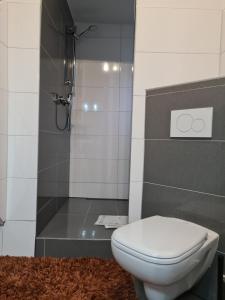 Kylpyhuone majoituspaikassa Apartment Caracalla