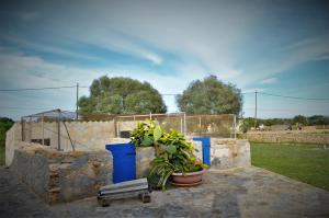 Vonkajšia záhrada v ubytovaní Siamoformentera Villa Annabella