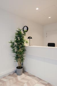 a plant in an office with a clock on the wall at ROXI Residence Gent in Ghent