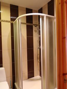 W łazience znajduje się prysznic ze szklanymi drzwiami. w obiekcie Dižpriedes w mieście Kandava