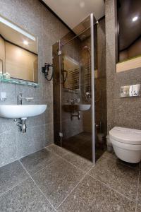 a bathroom with a sink and a toilet and a shower at Hotel Riders Equides club in Lesniki