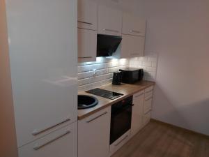 Kuchyňa alebo kuchynka v ubytovaní Polanki Park Apartament LEON