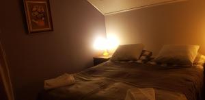 a bedroom with a bed with a lamp on it at Dessans Café & Logi in Pello