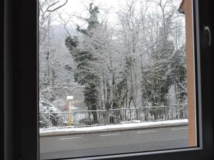 Una ventana con vista a un bosque cubierto de nieve. en Monteurhaus Scheidter 40, en Saarbrücken