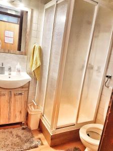ein Bad mit einer Dusche, einem WC und einem Waschbecken in der Unterkunft Apartma Rogla Gaber 63 in Zreče