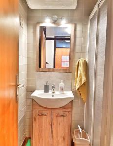 ein Bad mit einem Waschbecken und einem Spiegel in der Unterkunft Apartma Rogla Gaber 63 in Zreče