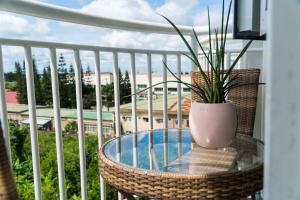 a glass table with a plant on a balcony at An Oasis in Tagaytay in Tagaytay
