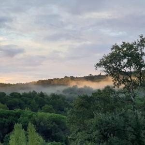 una vista de un bosque con niebla a lo lejos en Charmant Studio proche Lac et Forêt en Carcasona