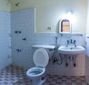 a bathroom with a toilet and a sink at Hotel Plaza Nepal in Pokhara