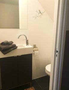 een badkamer met een wastafel en een toilet bij Appartement Rotterdam Noord in Rotterdam