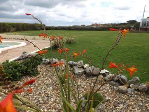 a garden with orange flowers and a swimming pool at The cabin with the view in Overstrand