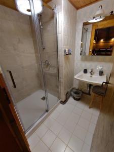 ein Bad mit einer Dusche und einem Waschbecken in der Unterkunft Chalet paisible dans la nature avec belle vue sur le lac Léman in Lugrin