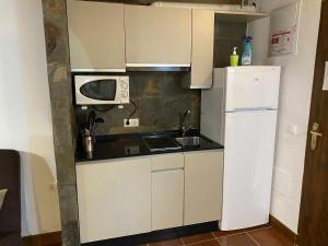 Kuchnia lub aneks kuchenny w obiekcie Estudio con jardincito privado barbacoa y piscina