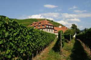 un bâtiment dans un vignoble avec une bande de vignes dans l'établissement Hotel Residenz im Schloss Neuweier, à Baden-Baden