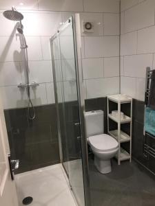 a bathroom with a toilet and a glass shower at Short term lets from £15 per person per night in Bristol