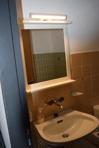 a bathroom with a sink and a mirror at Ferienwohnung Bündawiese in Davos