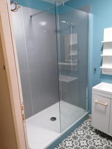 een douche met een glazen deur in de badkamer bij Le petit Vaudois in Saint-Parres-lès-Vaudes