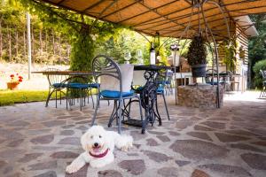 Mascotas con sus dueños en Relais Parco Fiorito & SPA - Agriturismo, Ristorante e Fattoria Didattica