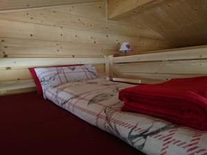 Bunk bed o mga bunk bed sa kuwarto sa Mini Chalet Walser