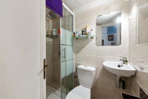 a bathroom with a toilet and a sink and a shower at Appartement cocooning à Barrême, 30 m² avec balcon in Barrême